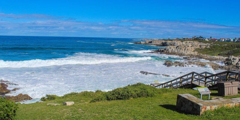 Cape Town: Hermanus Land Based Whale Watching Tour - Itinerary and Transportation