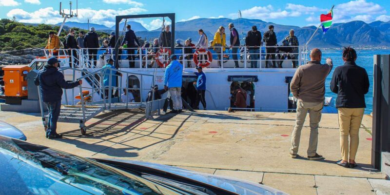 Cape Town: Hermanus Land Based Whale Watching Tour - Whale Watching Experience