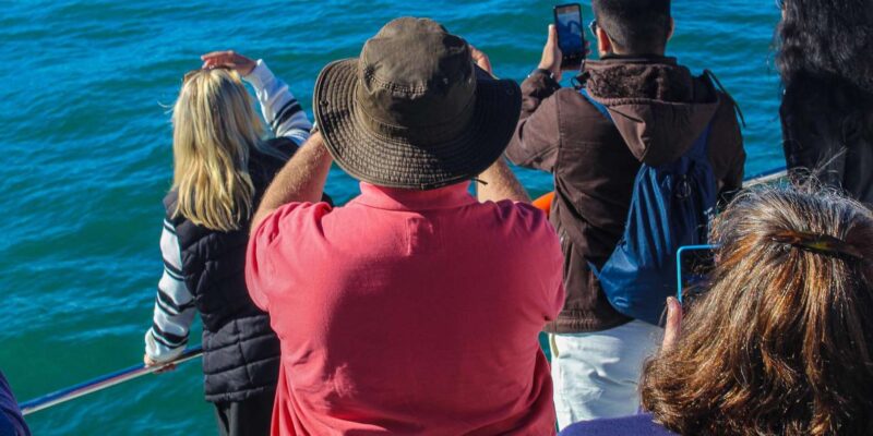 Cape Town: Hermanus Land Based Whale Watching Tour - Included Amenities