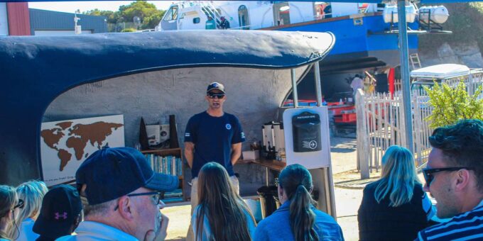 Cape Town: Hermanus Land Based Whale Watching Tour - Important Information