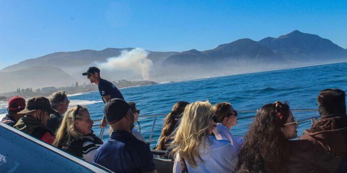 Cape Town: Hermanus Land Based Whale Watching Tour - Frequently Asked Questions