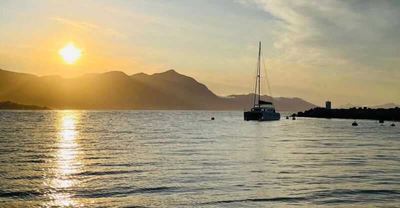 Cape Town: Hermanus Whale Watching and Wine Tasting Tour - Key Points