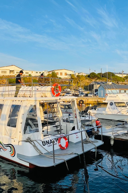 Cape Town: Hermanus Whale Watching and Wine Tasting Tour - Itinerary Highlights