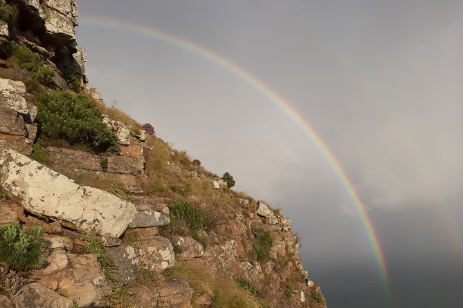 Cape Town Hike Lions Head Sunrise Morning Tour - Photo Opportunities of Landmarks