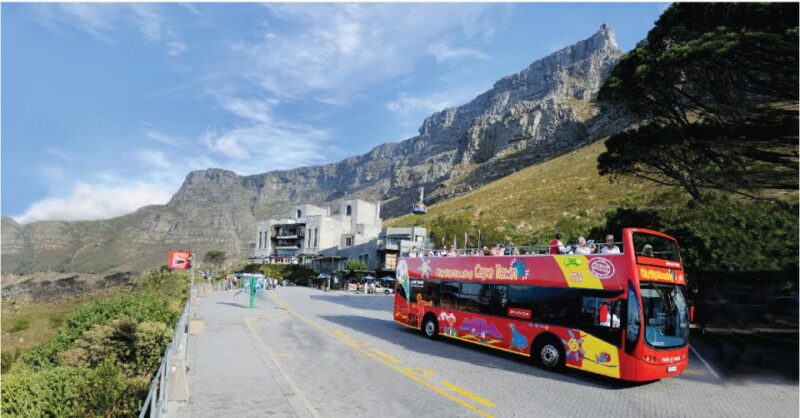 Cape Town: Hop-On Hop-Off Bus Tour With Optional Cruise - Tour Routes and Landmarks