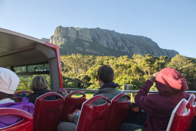 Cape Town: Hop-On Hop-Off Bus Tour With Optional Cruise - Live Bus Tracking and Map