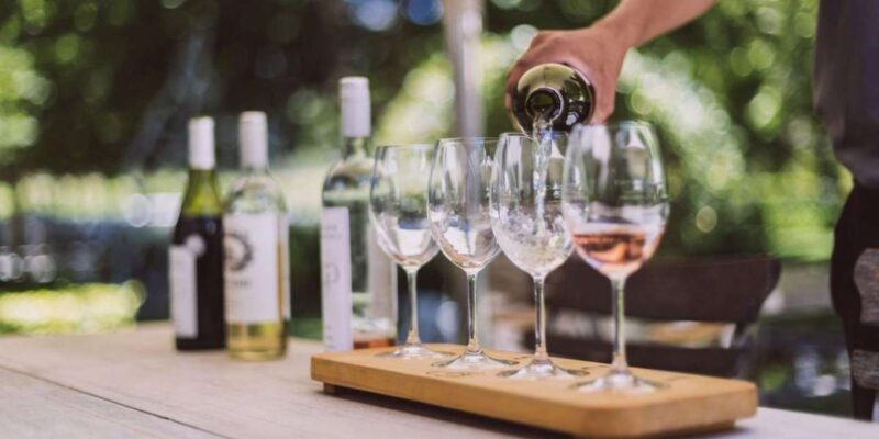 Cape Town: Hop On, Hop Off: Franschhoek Wine Tram Tour! - Customer Feedback