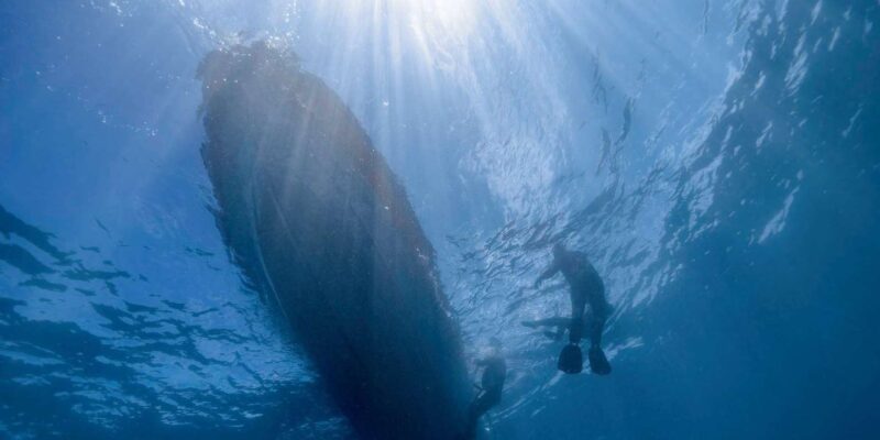 Cape Town; Kelp Forest SCUBA Dive - Key Points