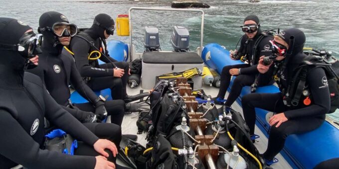 Cape Town; Kelp Forest SCUBA Dive - Frequently Asked Questions