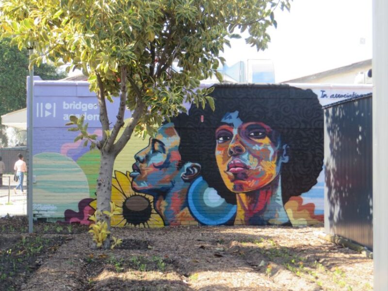 Cape Town: Langa Township Half- Day Tour - Key Points