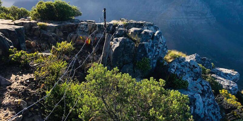Cape Town: Lions Head Guided Hike With Mountain Goat Guides - Preparation and Safety