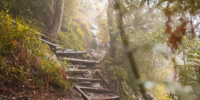Cape Town: Lions Head & Table Mountain Guided Hiking Tours - Safety and Environmental Considerations