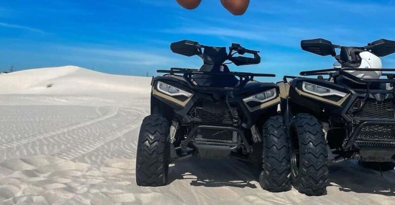 Cape Town: Luxury City Tour With Atlantis Dunes Adventure - Transportation and Accessibility