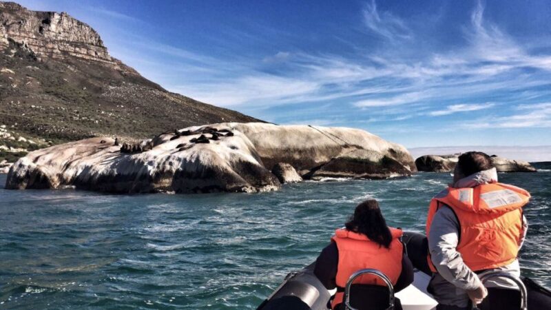 Cape Town: Marine Big 5 Ocean Safari From V&A Waterfront - Safari Inclusions and Exclusions