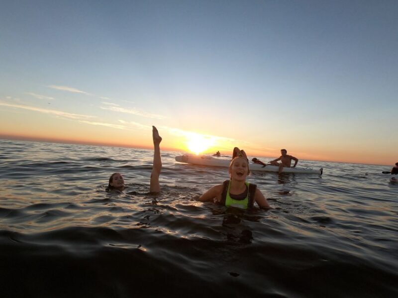 Cape Town: Marine Life Kayak Tour From the V&A Waterfront - Tour Highlights