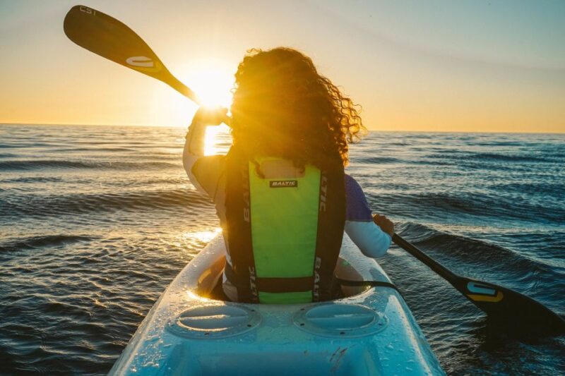 Cape Town: Marine Life Kayak Tour From the V&A Waterfront - Included in the Tour