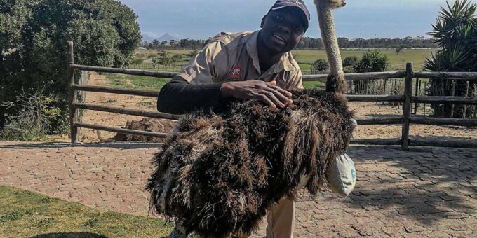 CAPE TOWN: OSTRICH RANCH QUAD BIKE RIDE & OSTRICH TOUR - Pricing and Booking