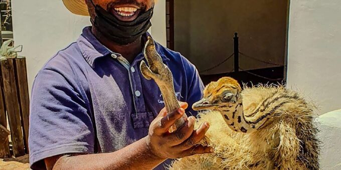 CAPE TOWN: OSTRICH RANCH QUAD BIKE RIDE & OSTRICH TOUR - Tour Duration and Language