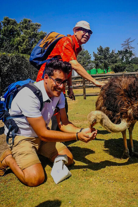 CAPE TOWN: OSTRICH RANCH QUAD BIKE RIDE & OSTRICH TOUR - Customer Feedback