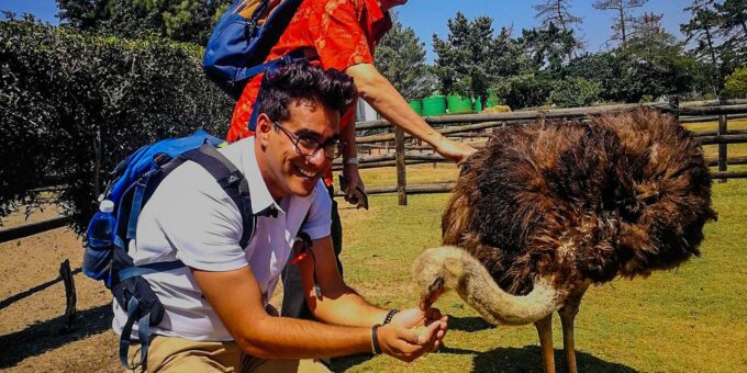 CAPE TOWN: OSTRICH RANCH QUAD BIKE RIDE & OSTRICH TOUR - Frequently Asked Questions