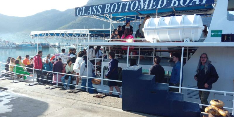 Cape Town: Peninsula Tour With Optional Seal Island Boat … - Inclusions and Exclusions