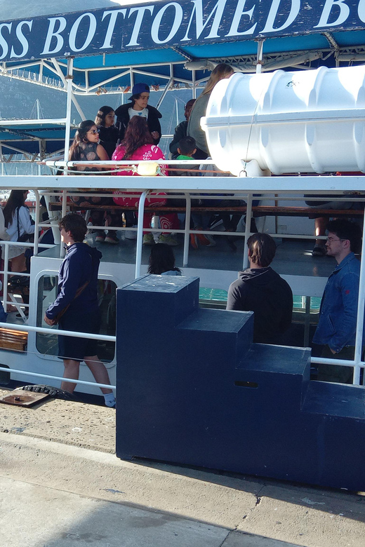 Cape Town: Peninsula Tour With Optional Seal Island Boat … - Frequently Asked Questions