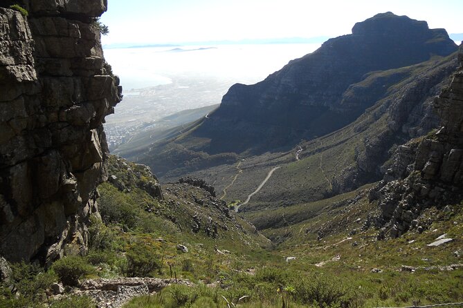 Cape Town: Platteklip Gorge Half-Day Hike on Table Mountain - Pickup and Meeting Point Details