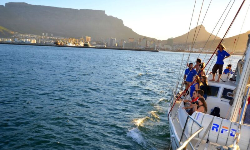 Cape Town: Pre-Sunset Champagne Cruise - Recommendations and Restrictions
