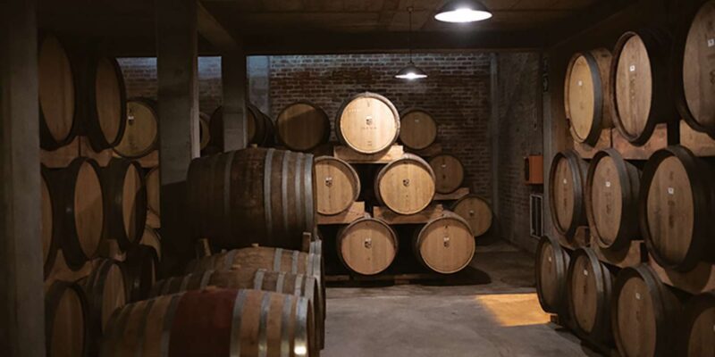 Cape Town: Premium Small Group Wine Tour With Tastings - Key Points