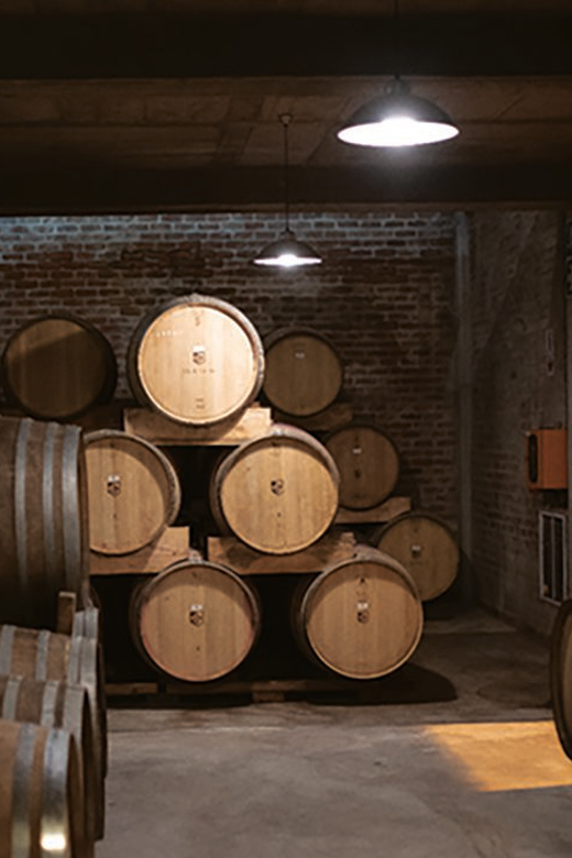 Cape Town: Premium Small Group Wine Tour With Tastings - Itinerary Highlights