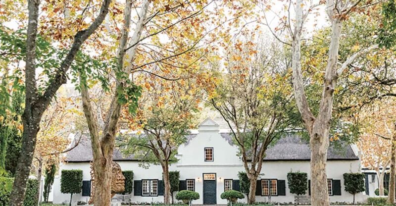 Cape Town: Premium Small Group Wine Tour With Tastings - Experience Features