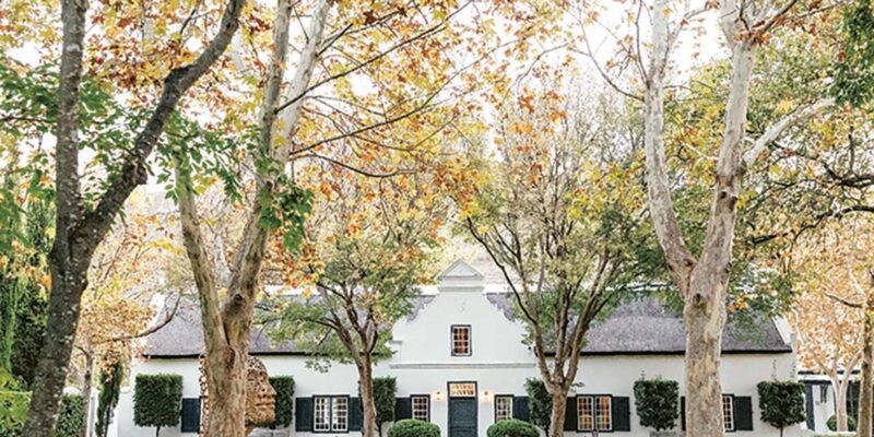 Cape Town: Premium Small Group Wine Tour With Tastings - Cancellation Policy