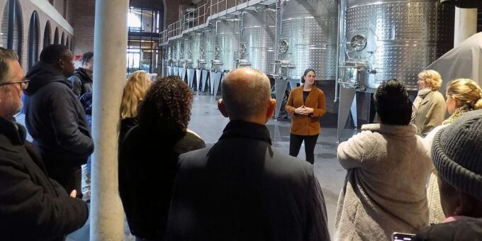 Cape Town: Premium Small Group Wine Tour With Tastings - Pickup Locations