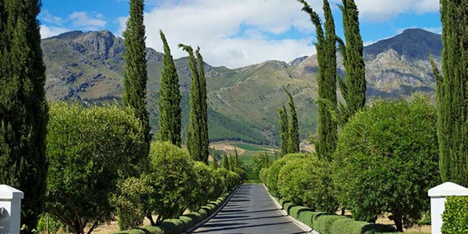Cape Town: Premium Small Group Wine Tour With Tastings - Frequently Asked Questions