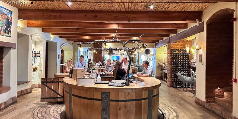 Cape Town: Private Full-Day Big 5 Aquila Game Reserve Tour - Experience and Highlights
