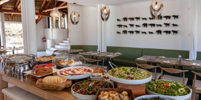 Cape Town: Private Full-Day Big 5 Aquila Game Reserve Tour - Frequently Asked Questions