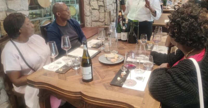 Cape Town: Private Full Day Wine Testing Experience - Key Points