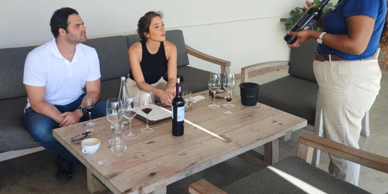 Cape Town: Private Full Day Wine Testing Experience - Exclusive Wine Tasting Regions Visited