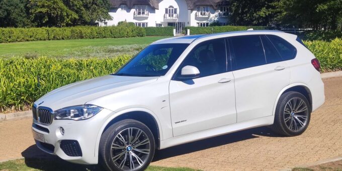 Cape Town: Private Full Day Wine Testing Experience - Luxury Transportation and Professional Guide