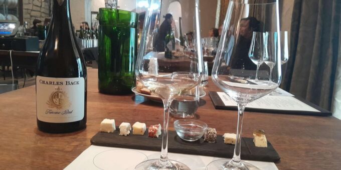 Cape Town: Private Full Day Wine Testing Experience - Frequently Asked Questions