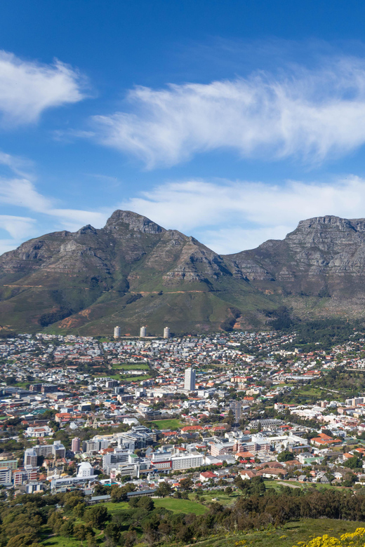 Cape Town: Private Half Day City Tour - Booking Information