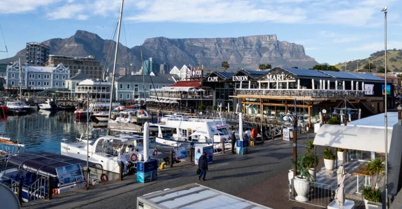 Cape Town: Private Half Day City Tour - Tour Highlights