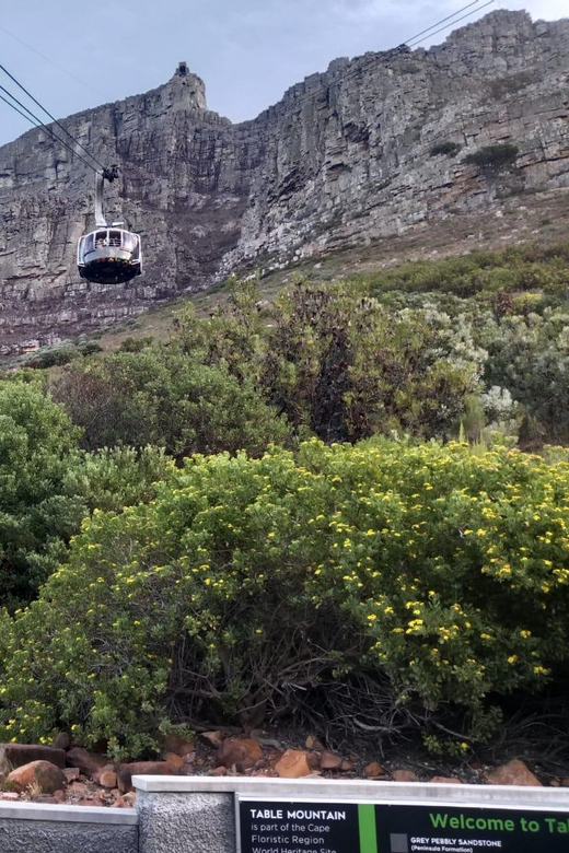 Cape Town Private Table Mountain & City Sightseeing Day Tour - Experience Summary