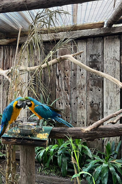 Cape Town Private World of Birds Tour With Over 3000 Birds. - Seal Island Excursion