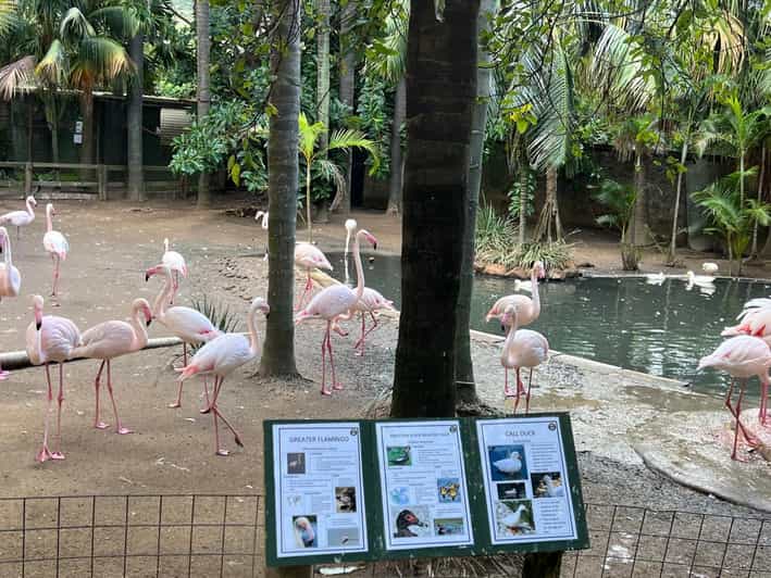 Cape Town Private World of Birds Tour With Over 3000 Birds - Cancellation Policy