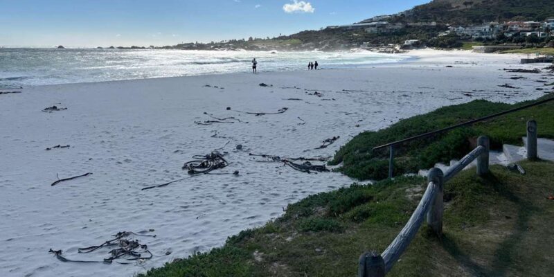Cape Town Private World of Birds Tour With Over 3000 Birds - Private Group Experience