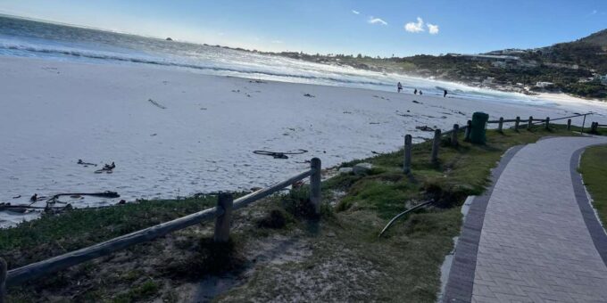 Cape Town Private World of Birds Tour With Over 3000 Birds - Seal Island Adventure