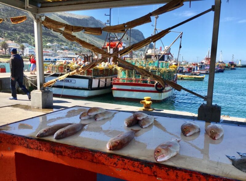Cape Town, Pvt Tour: Cape Point, Penguins, Wine/Beer Tasting - Driving Along Chapmans Peak