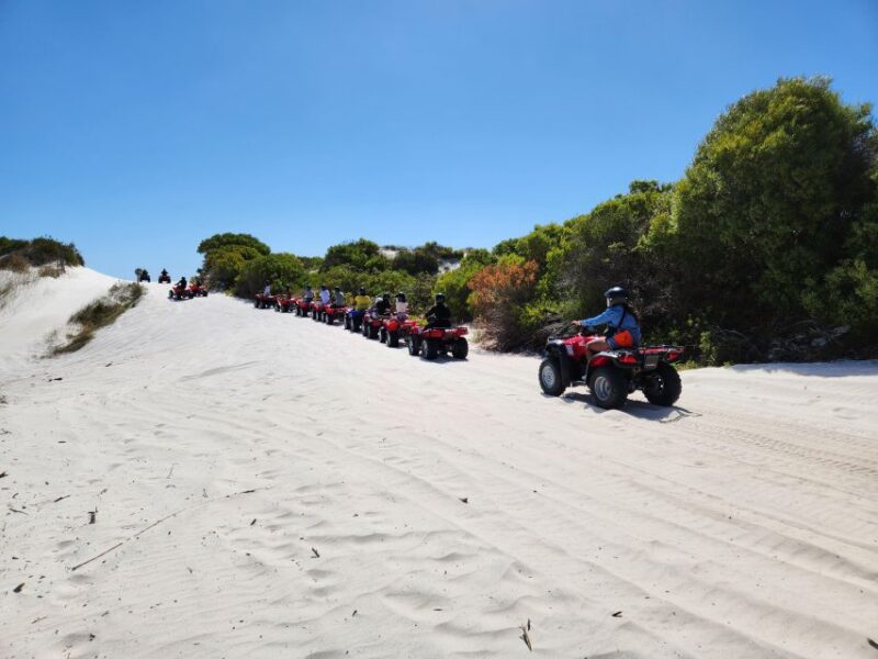 Cape-Town Quad Biking Atlantis Dunes - Experience Highlights