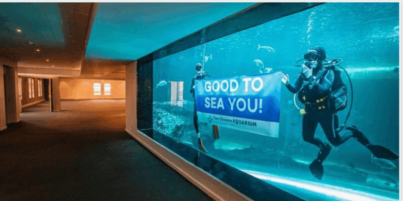 Cape Town: Robben Island and Two Oceans Aquarium Day Tour - Highlights of Robben Island
